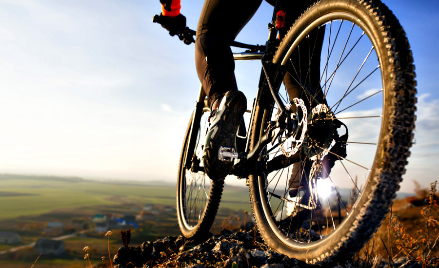 Llantas gruesas o delgadas para bicicleta: ¿cuál es la mejor opción?