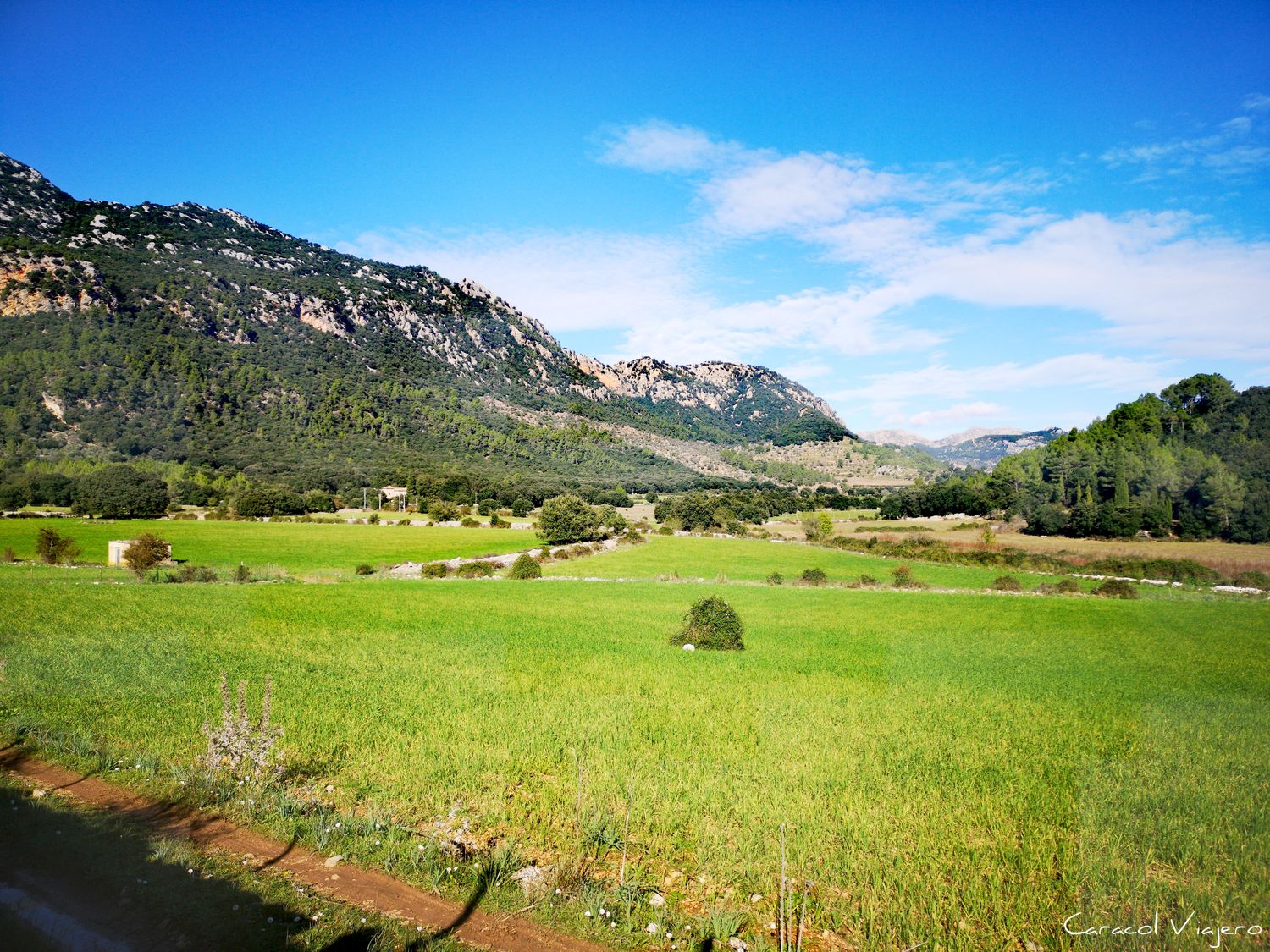 senderismo-en-mallorca-rutas-circulares-faciles